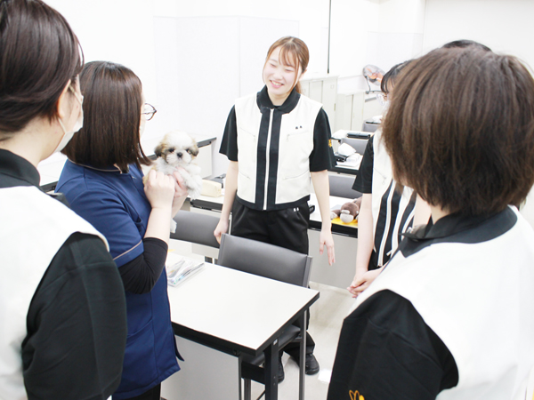 モデル犬のお世話を学ぼう！